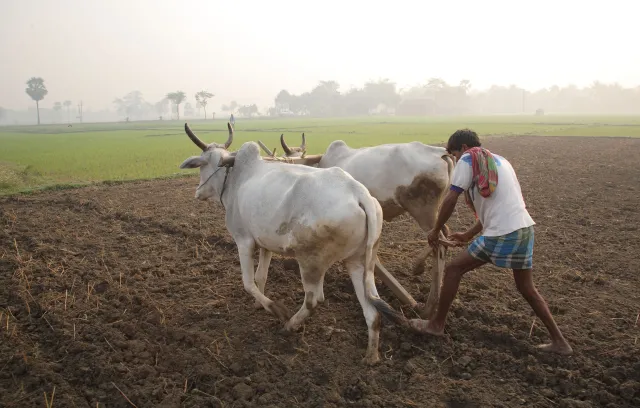 Farmer’s health: The conscience call for action by Dr. Edmond Fernandes